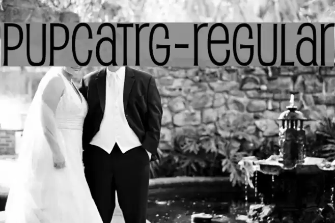 PupcatRg-Regular Font examples