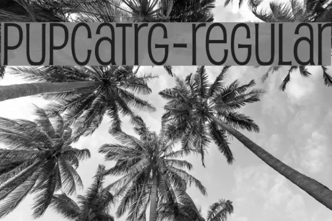 PupcatRg-Regular Font examples