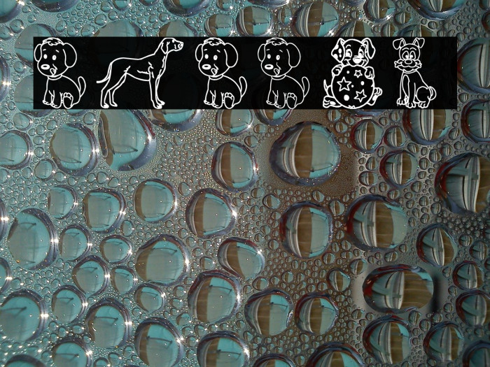 Pupies Font examples