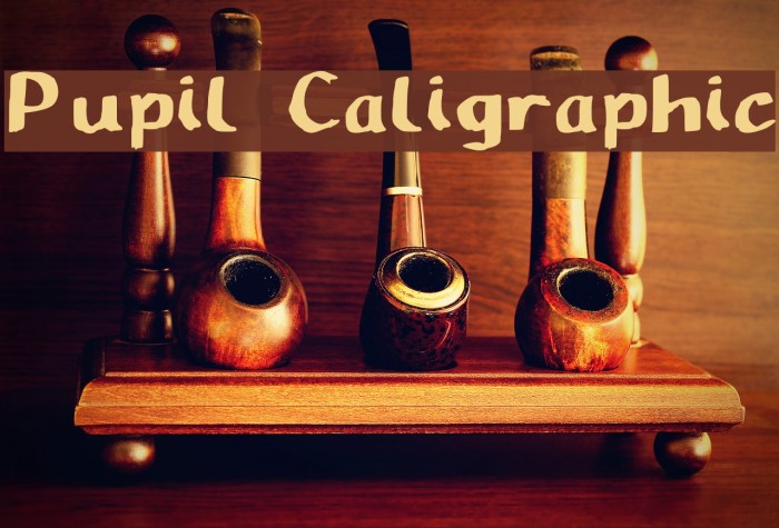 Pupil Caligraphic Font examples