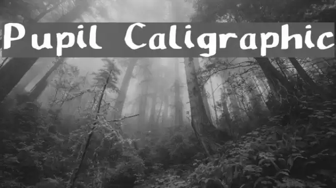 Pupil Caligraphic Font examples