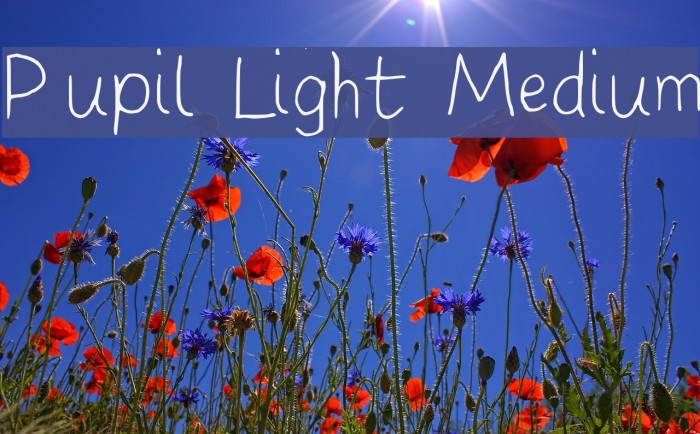 Pupil Light Medium Font examples
