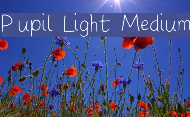 Pupil Light Medium Example 2