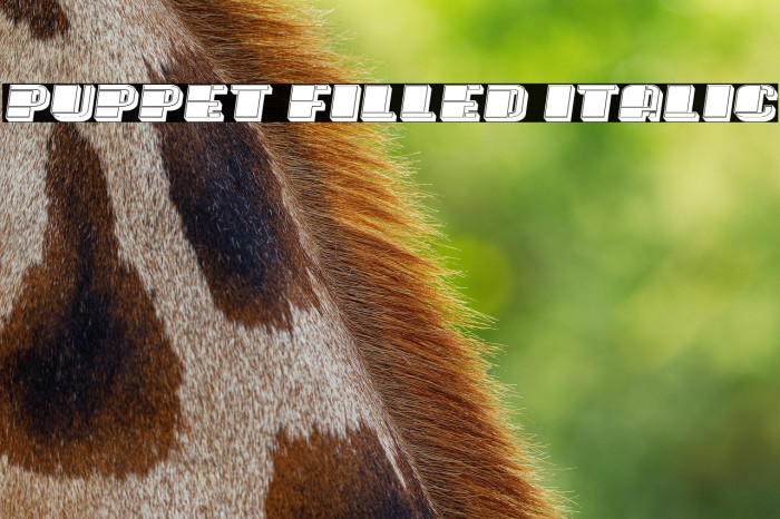 Puppet Filled Italic Example 3