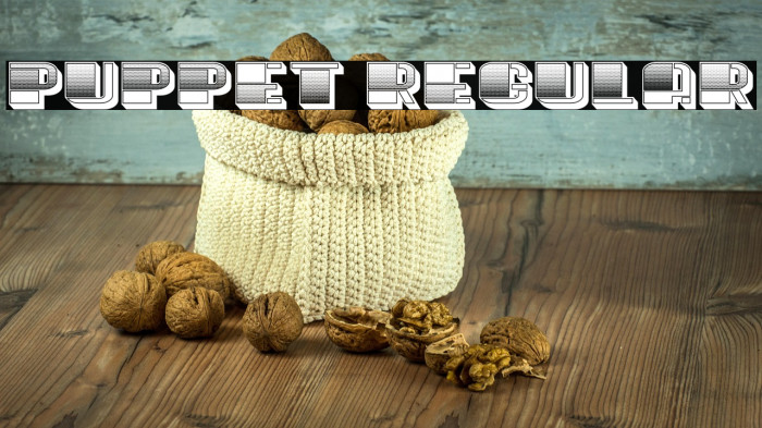 Puppet Regular Example 2