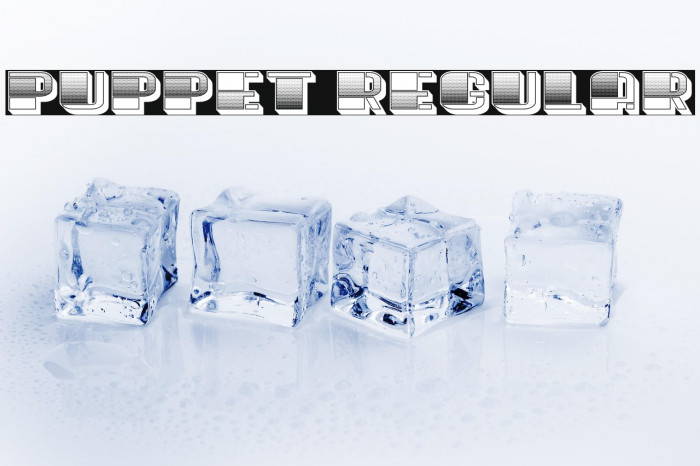 Puppet Regular Example 3