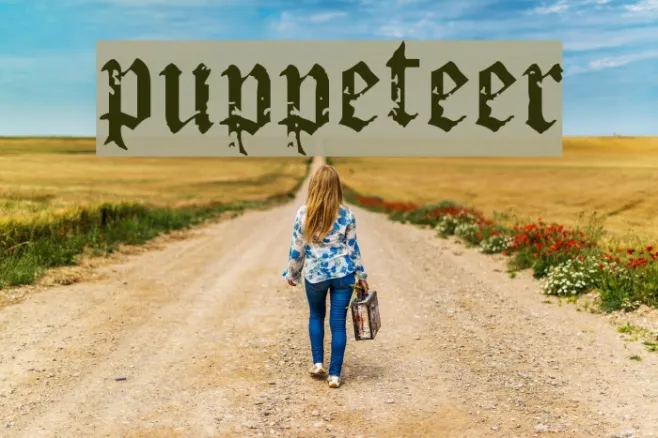Puppeteer Example 1