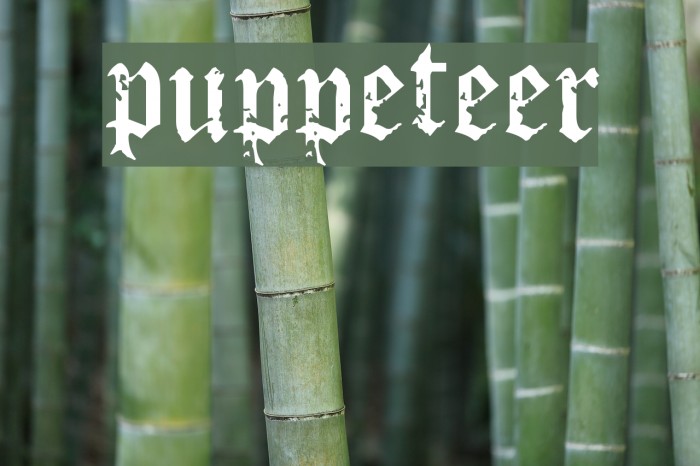 download puppeteer type for free