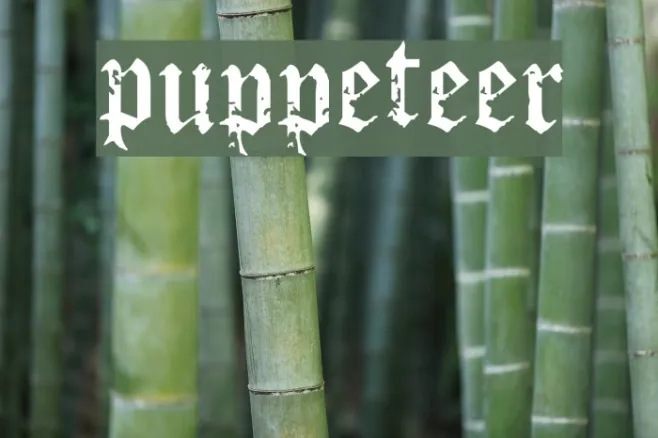 Puppeteer Example 2