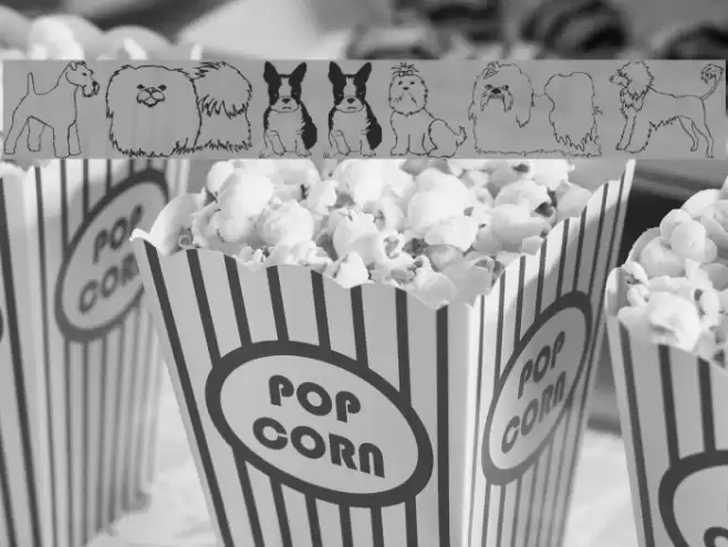 Puppins Font examples