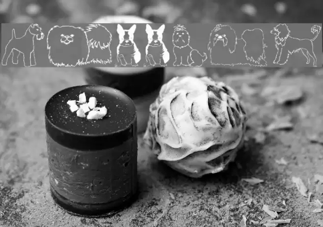 Puppins Font examples