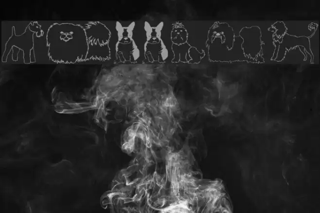 Puppins Font examples