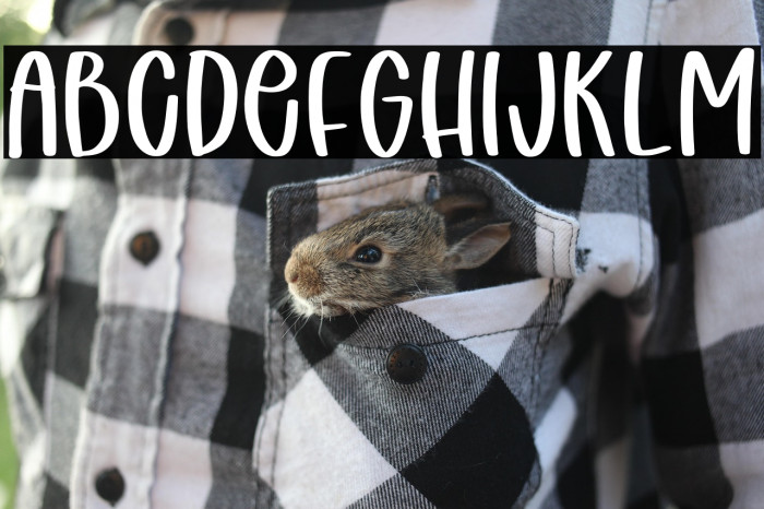 Puppy Baby Personal Use Example 1