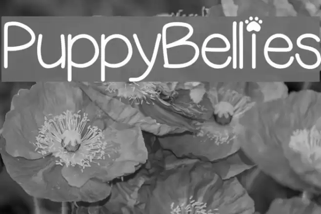 PuppyBellies  examples