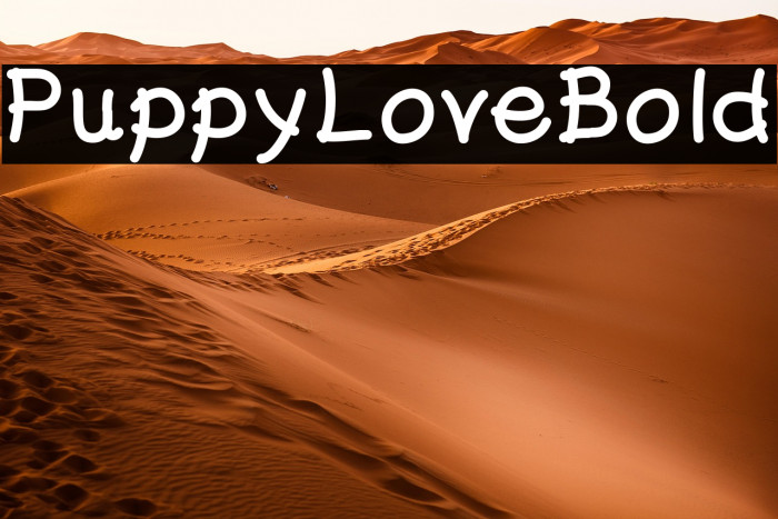 PuppyLoveBold Example 2