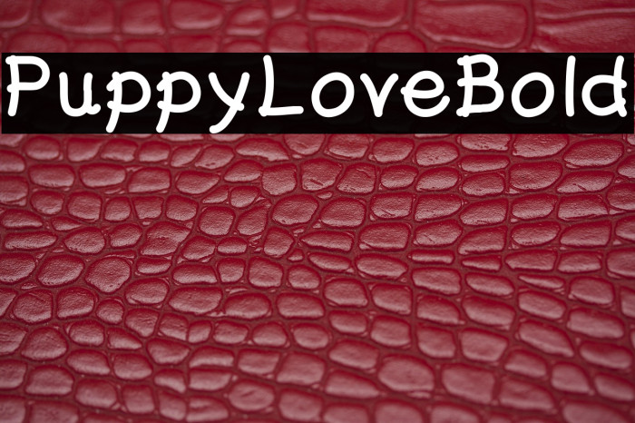 PuppyLoveBold Example 3