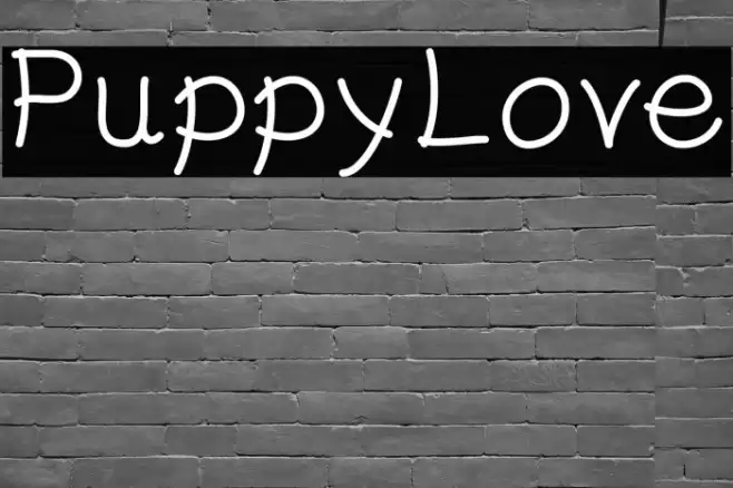 PuppyLove 字体 examples