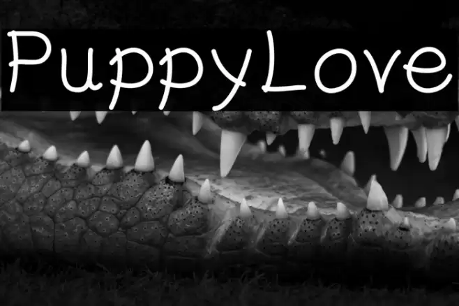 PuppyLove 字体 examples