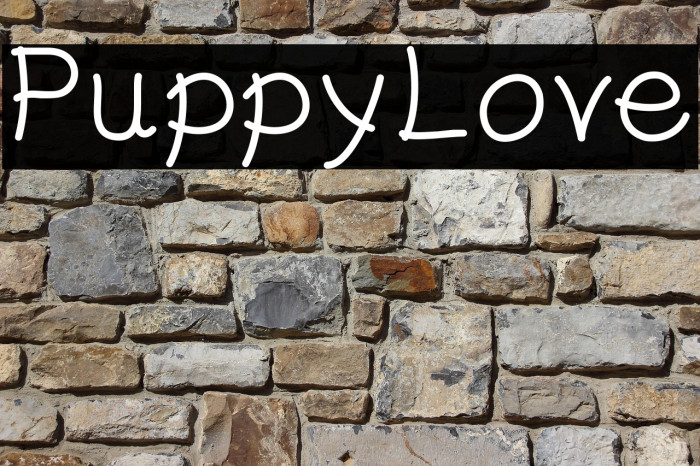 PuppyLove Example 3
