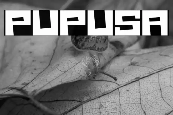 Pupusa Font examples