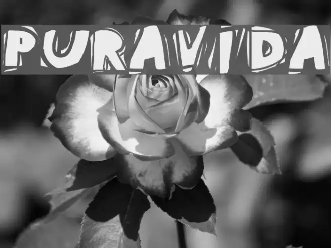 PuraVida Font examples