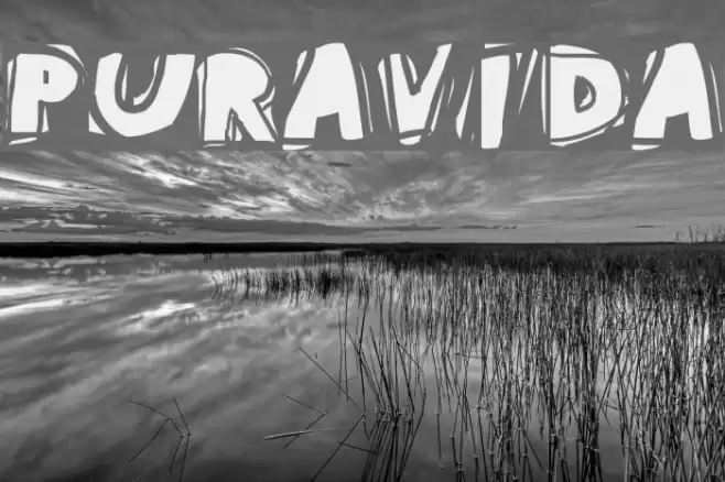 PuraVida Font examples