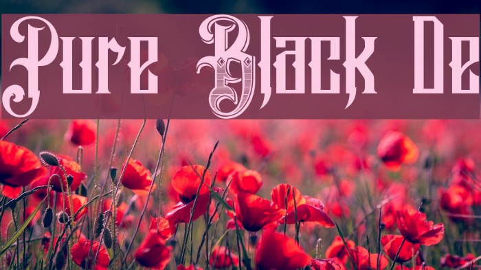 Pure Black Demo Font examples