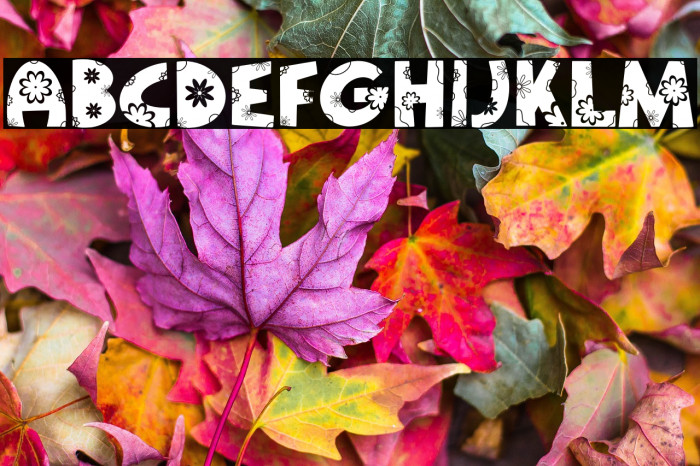 Pure Blossom Example 1