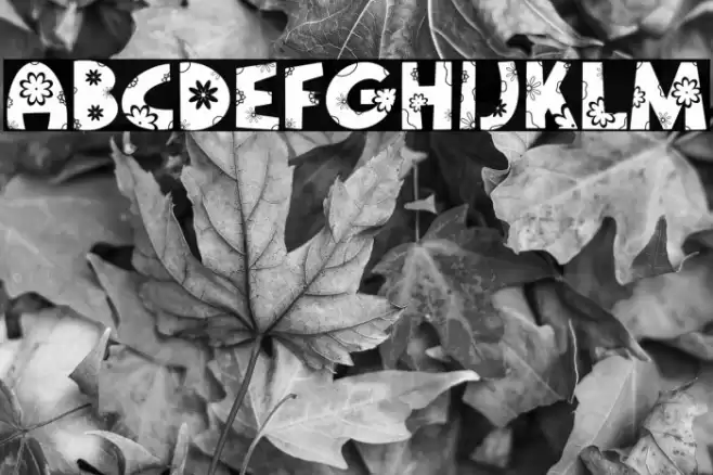 Pure Blossom Font examples