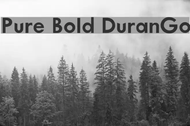 Pure Bold DuranGo Font examples