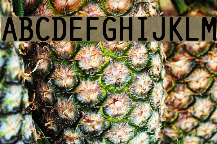 Pure-Capital Font examples