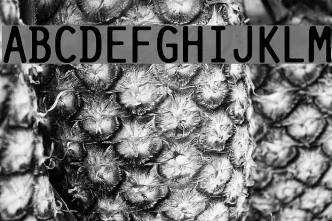 Pure-Capital フォント examples