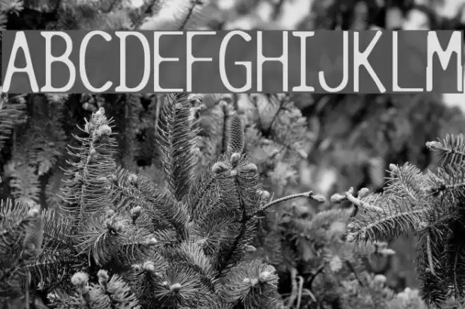 Pure-LightCap Font examples