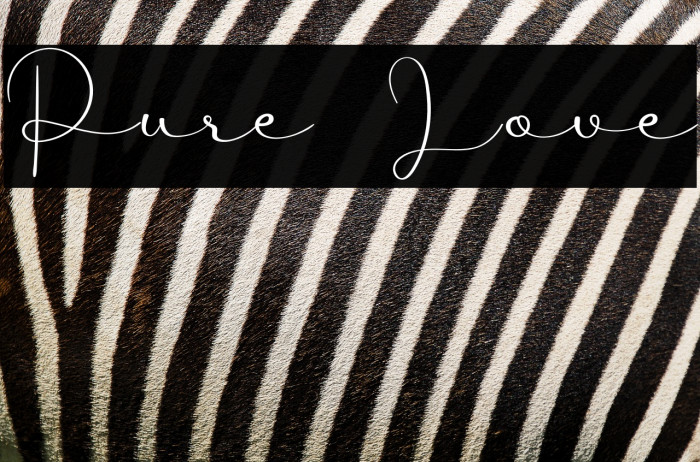 Pure Love Example 1