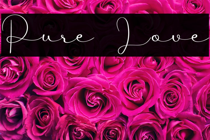 Pure Love Example 2