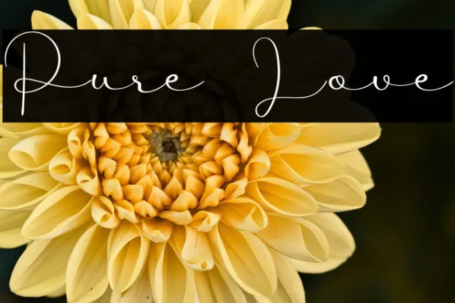 Pure Love Example 3