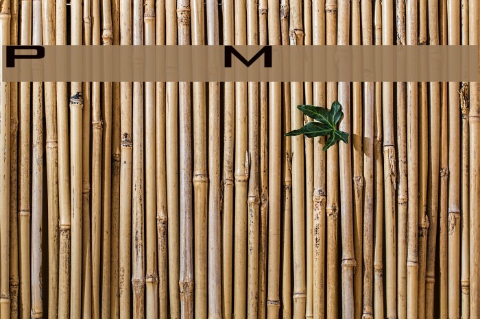 Pure Modern Example 2