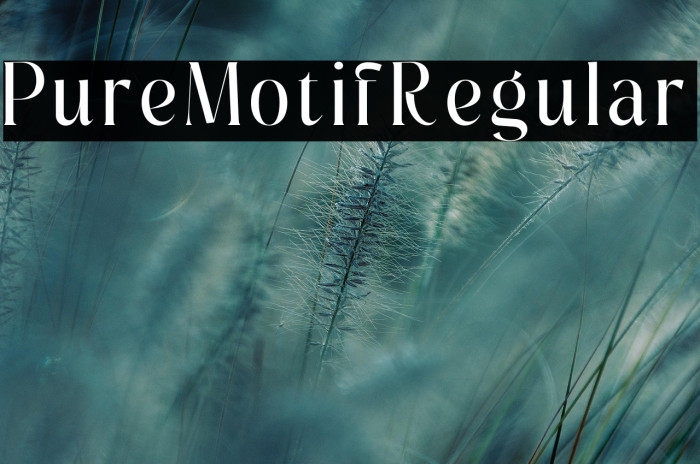 Pure Motif Regular Example 2