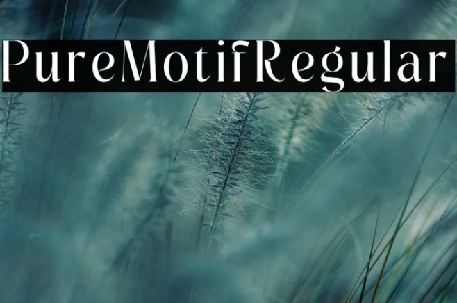 Pure Motif Regular Example 2