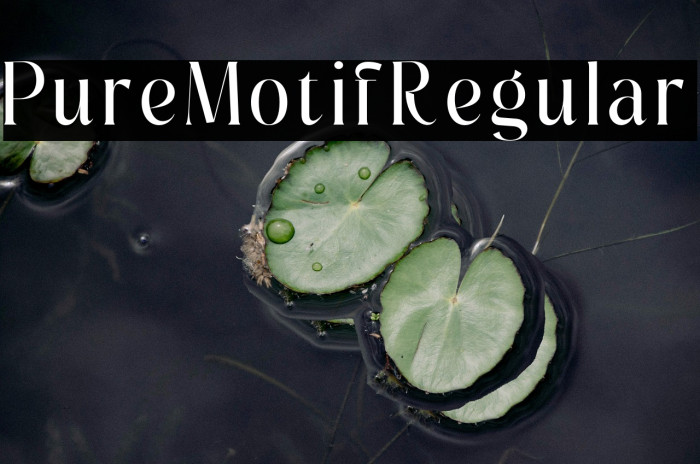 Pure Motif Regular Example 3