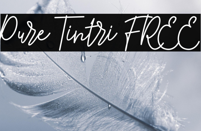 Pure Tintri FREE Example 3