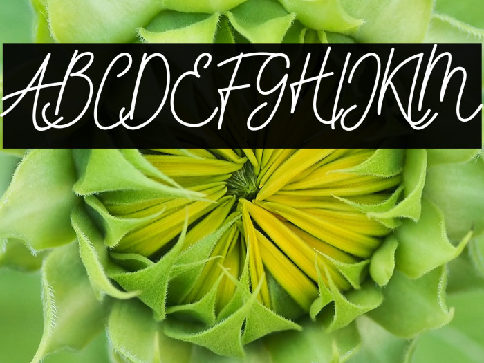 PureTintriFREE Example 1