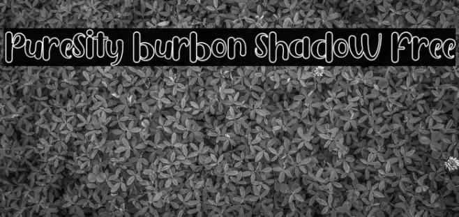 Puresity Burbon Shadow FREE Font examples