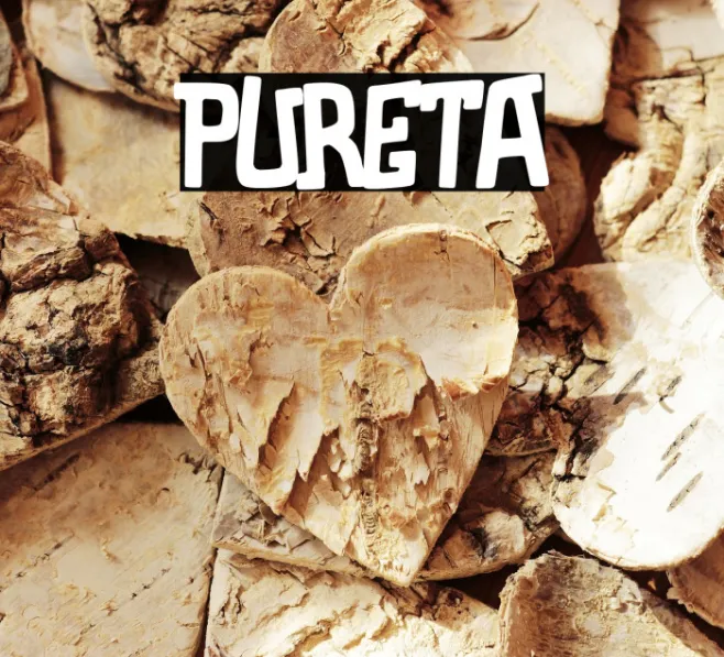 Pureta Example 2