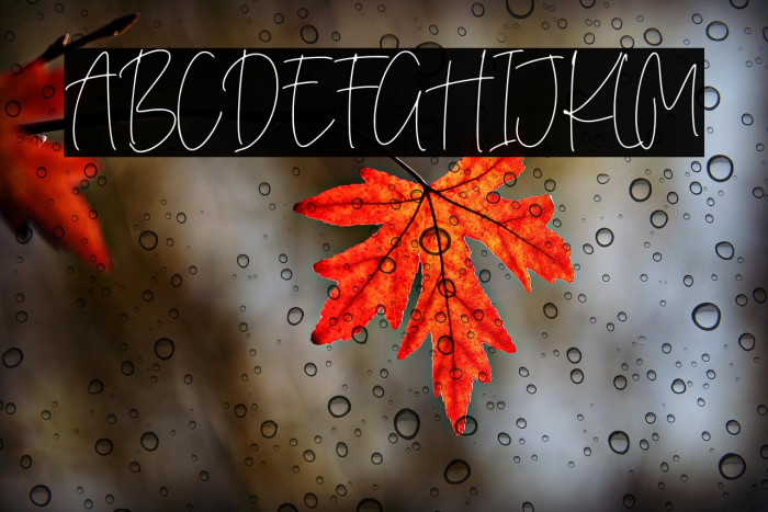 Purify Signature Example 1