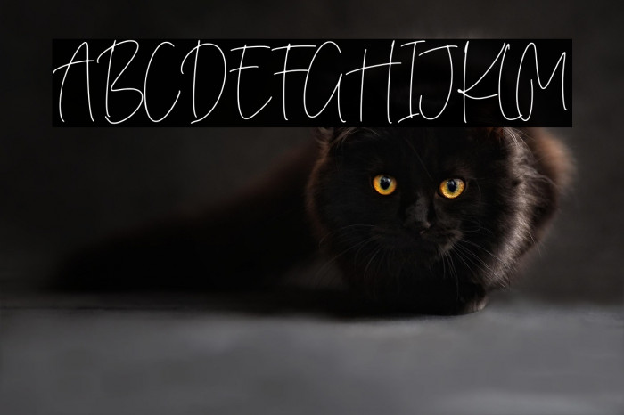 Purify Signature Example 3