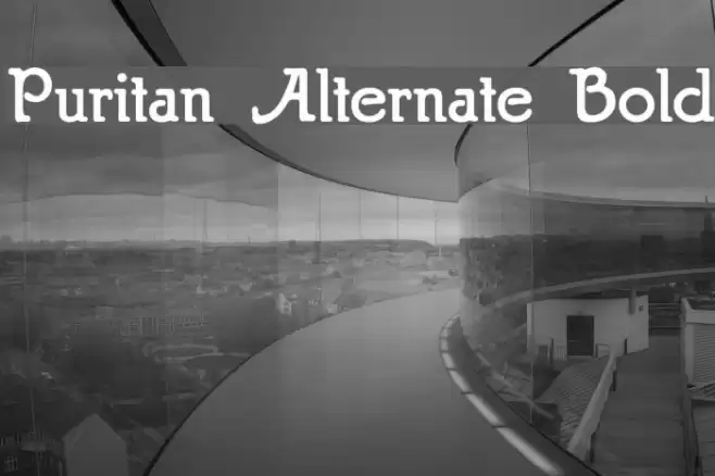 Puritan Alternate Bold Шрифта examples