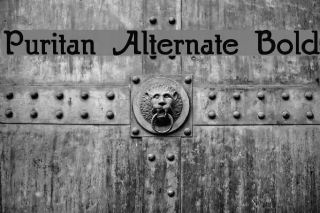 Puritan Alternate Bold Шрифта examples