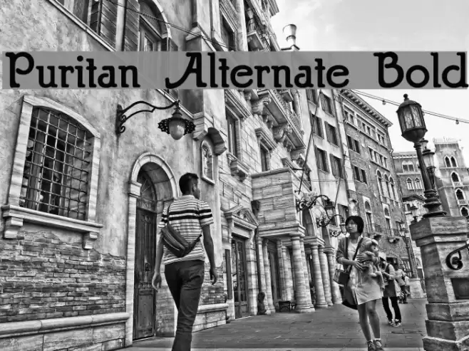 Puritan Alternate Bold Шрифта examples