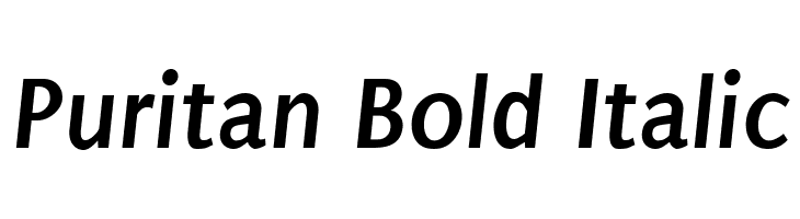 Puritan Bold Italic Font